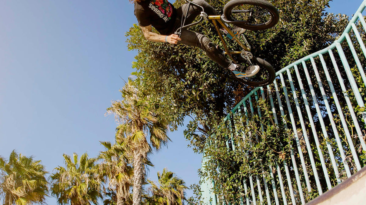 The Bike Life