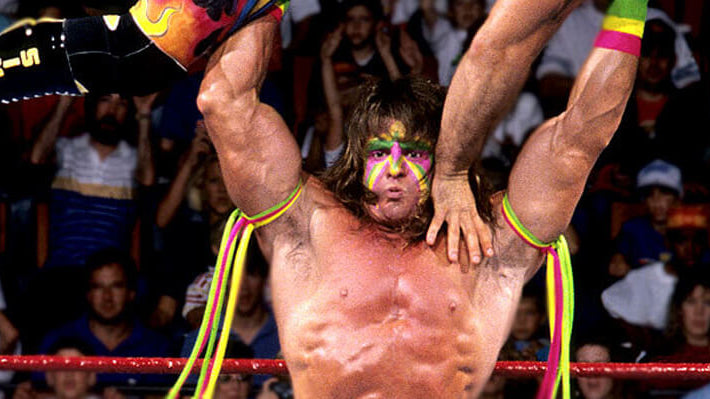 Longhairs of the WWE