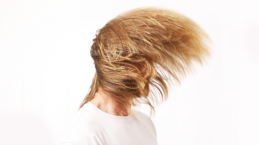 Hair Whip