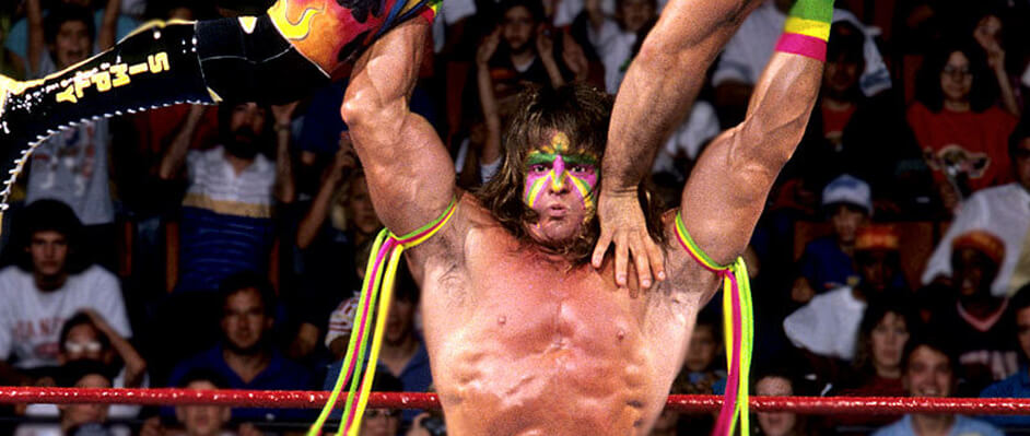 Longhairs of the WWE