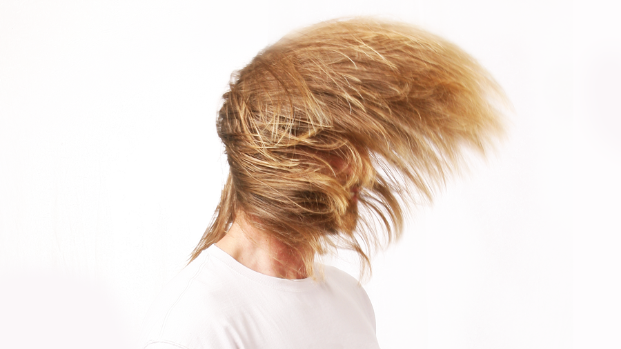 Hair Whip